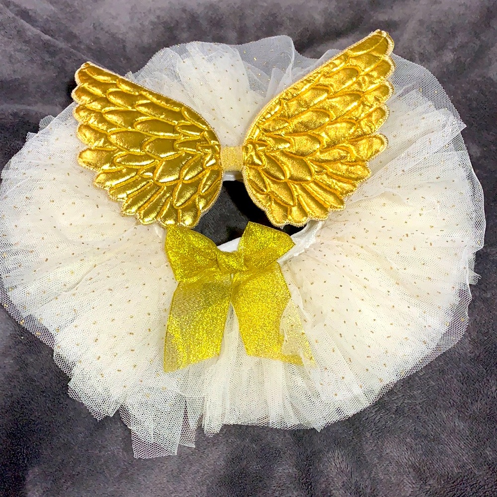 Angel Baby Newborn Tutu Dress with Wings
